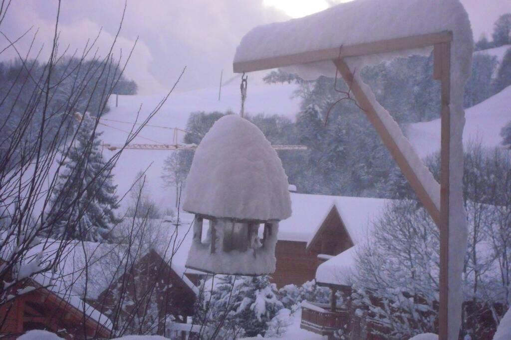 A4 Km De Megeve Tres Joli Studio Avec Jacuzzi ,Vue Sur Les Montagnes Au Calme Praz-sur-Arly Exteriör bild